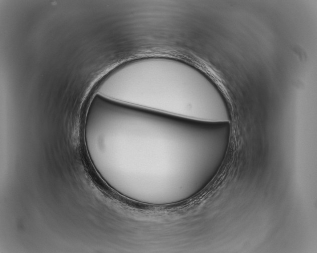 X0000111920012200907271019