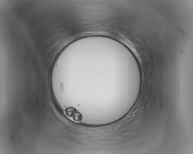 X0000111920013200907271019
