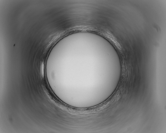 X0000111920014200907271019