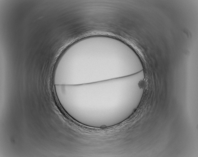 X0000111920015200907271019