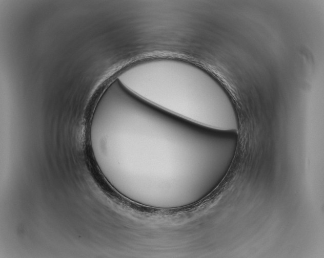 X0000111920016200907271019