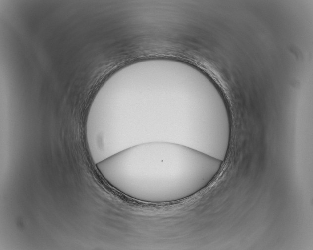 X0000111920017200907271019