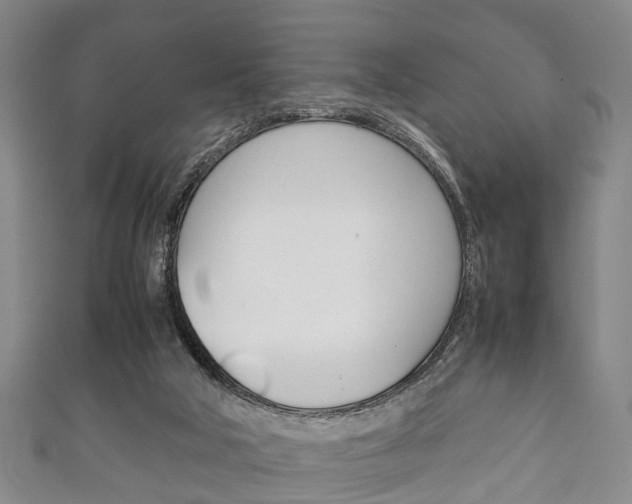 X0000111920018200907271019