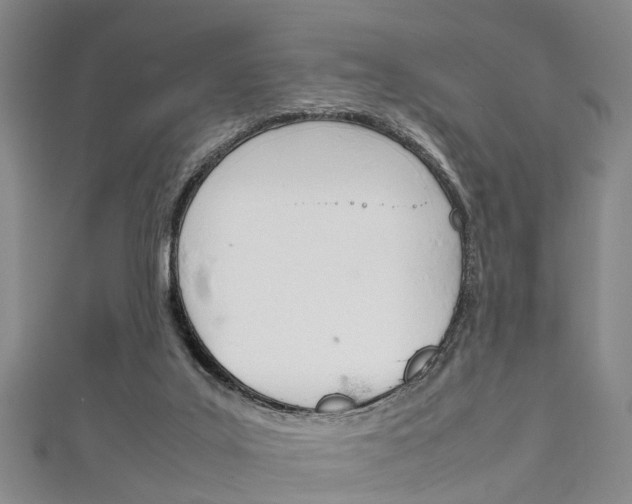 X0000111920019200907271019