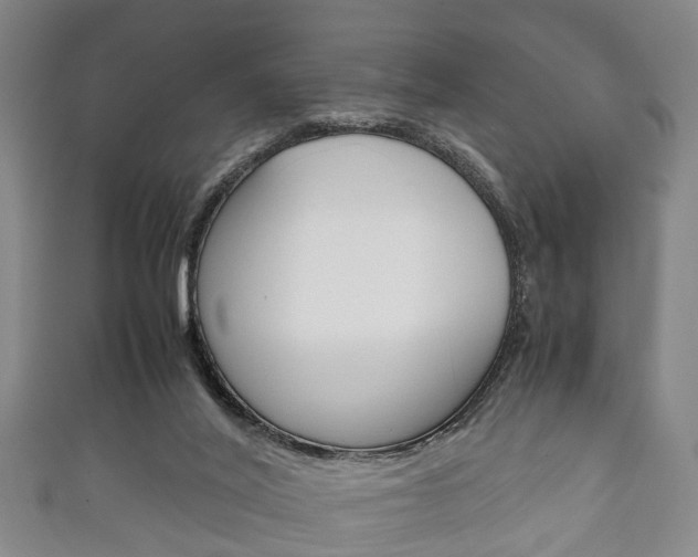 X0000111920020200907271019