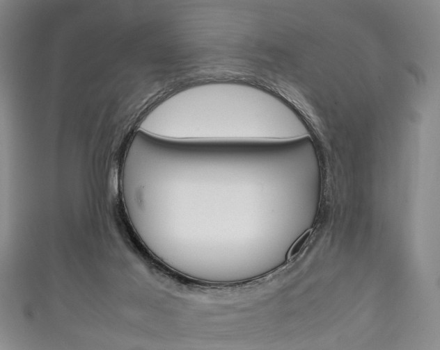 X0000111920021200907271019