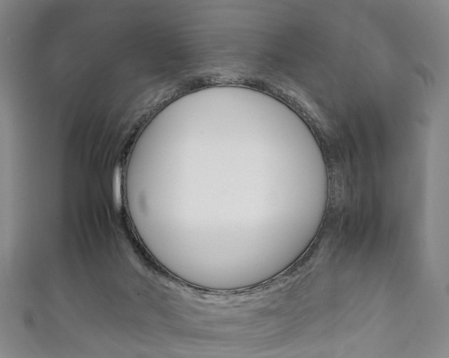 X0000111920022200907271019