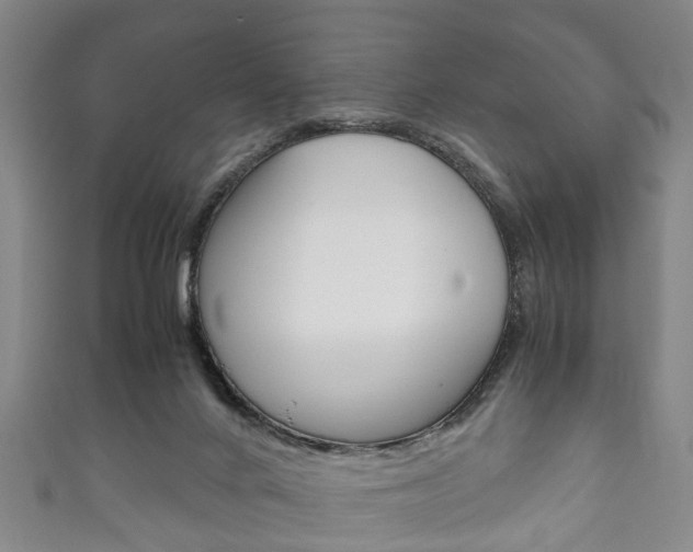 X0000111920024200907271019