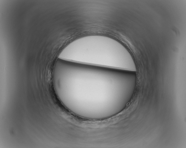 X0000111920025200907271019