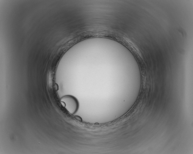 X0000111920026200907271019