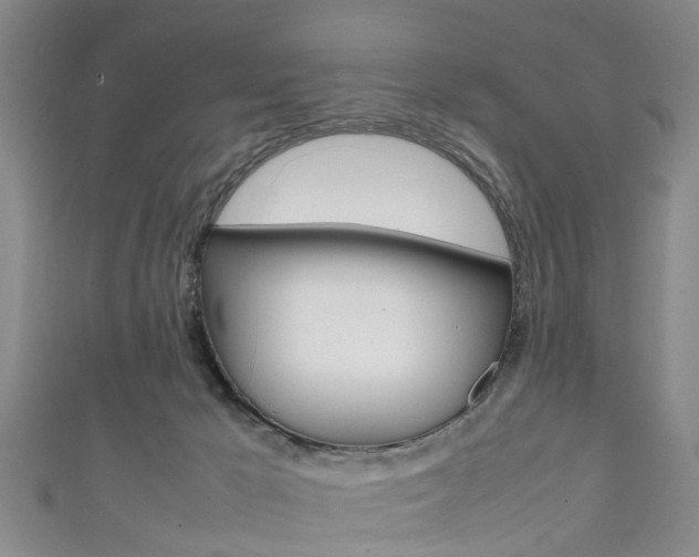 X0000111920029200907271019