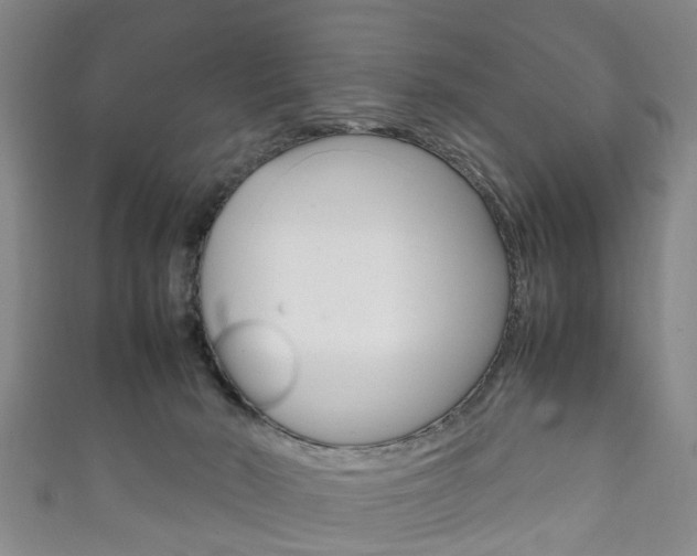 X0000111920030200907271019