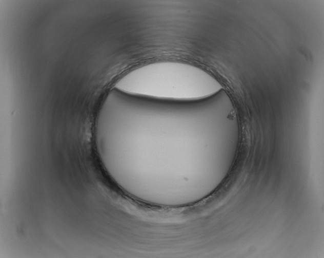 X0000111920032200907271018