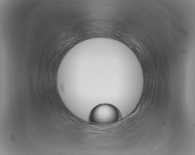 X0000111920033200907271018