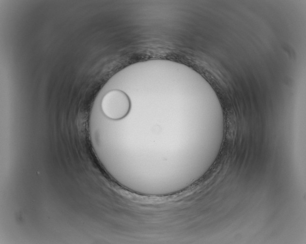 X0000111920034200907271018