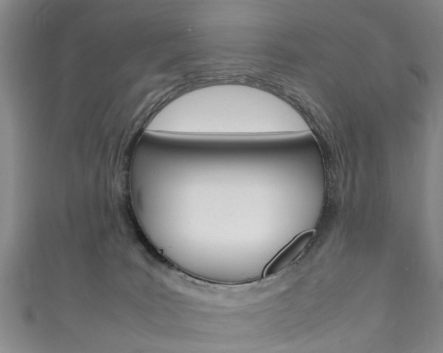 X0000111920035200907271018