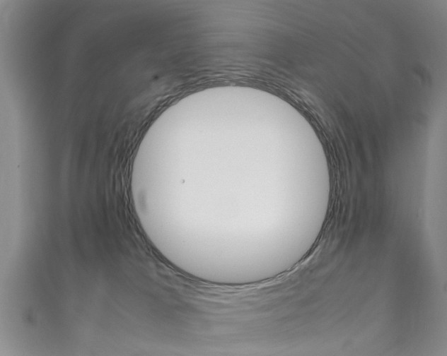 X0000111920037200907271018