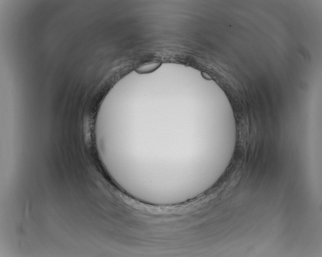 X0000111920038200907271018