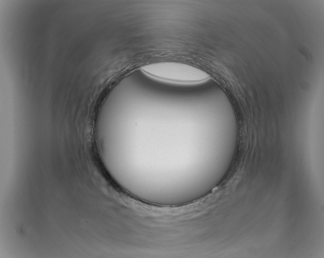 X0000111920039200907271018