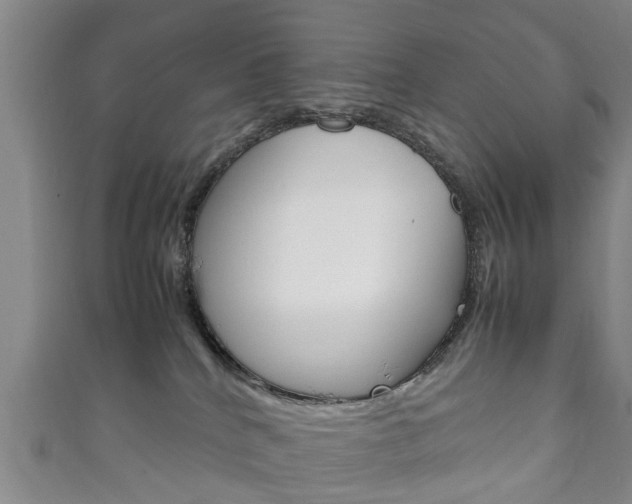 X0000111920040200907271018