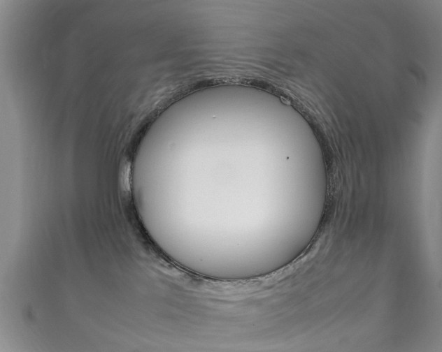 X0000111920041200907271018
