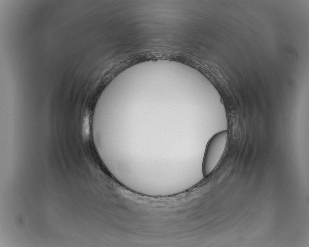 X0000111920042200907271018