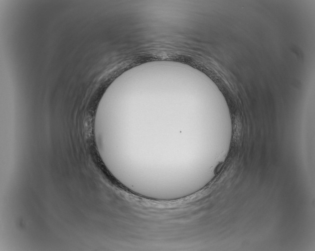 X0000111920043200907271018