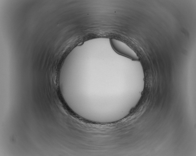 X0000111920044200907271018