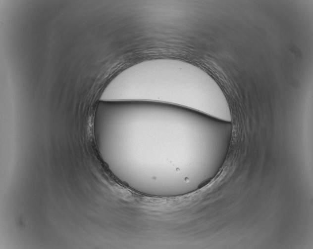 X0000111920045200907271018