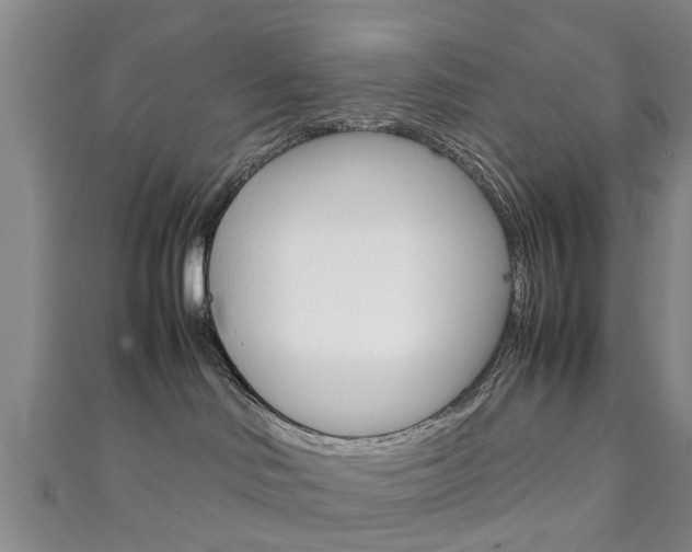 X0000111920046200907271018