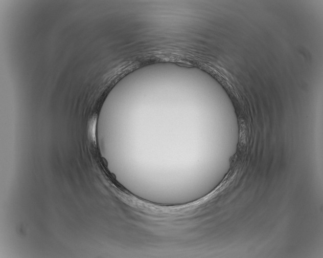 X0000111920047200907271018