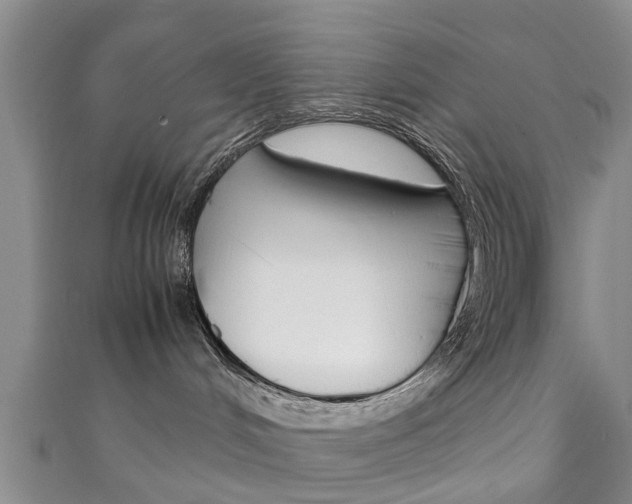 X0000111920048200907271018