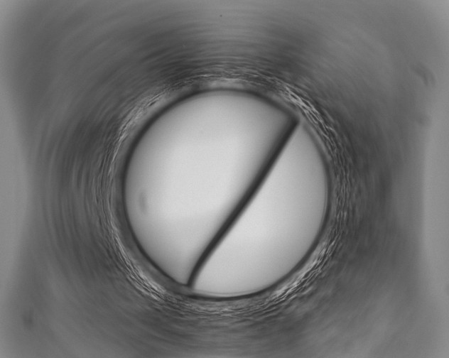 X0000111920049200907271017