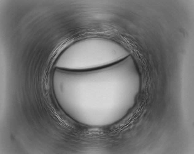 X0000111920050200907271017