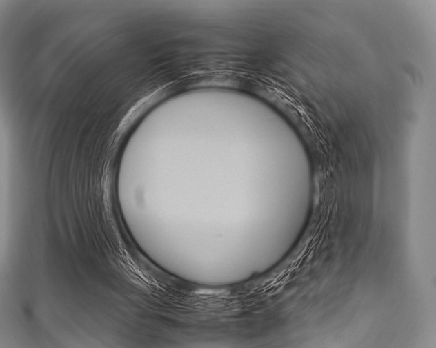 X0000111920051200907271018