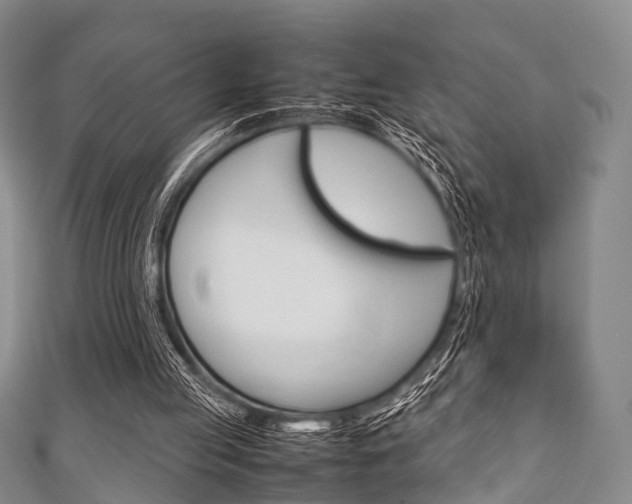 X0000111920053200907271018