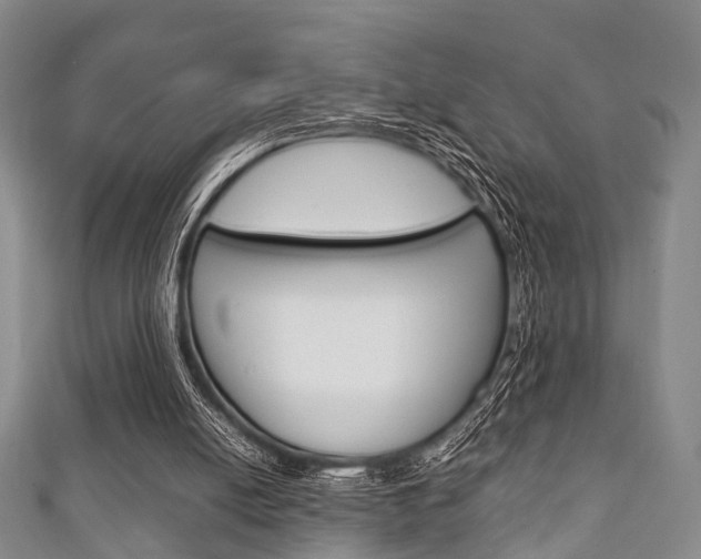 X0000111920054200907271018