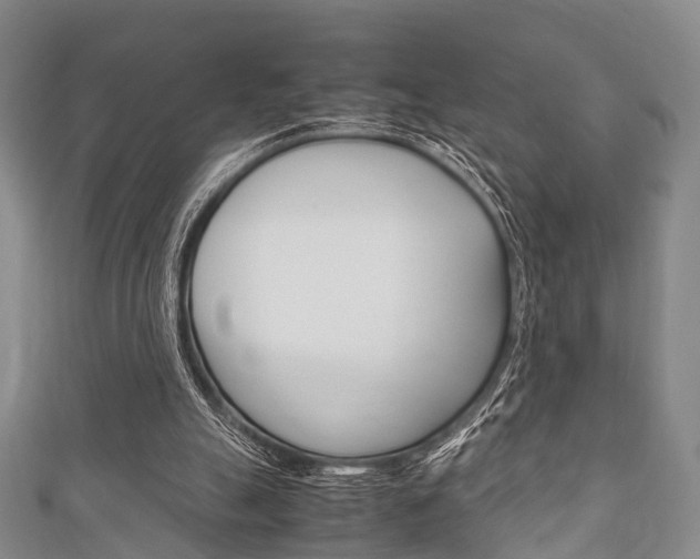 X0000111920055200907271018