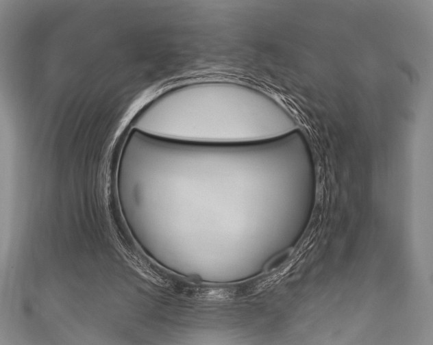 X0000111920056200907271018