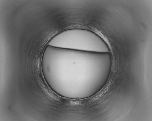 X0000111920057200907271018