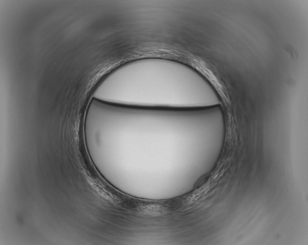 X0000111920058200907271018