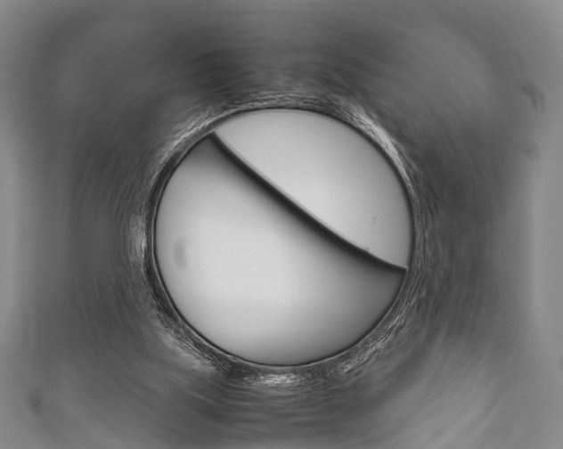 X0000111920059200907271018