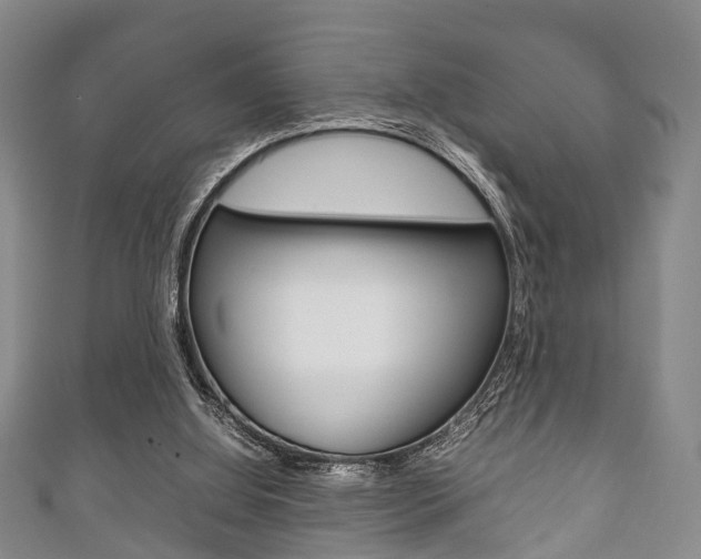 X0000111920060200907271018