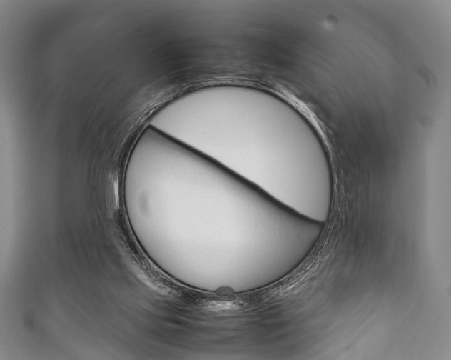 X0000111920061200907271018