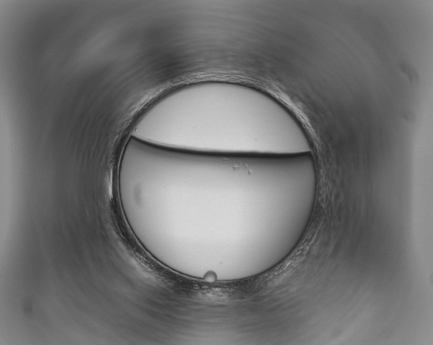 X0000111920062200907271018