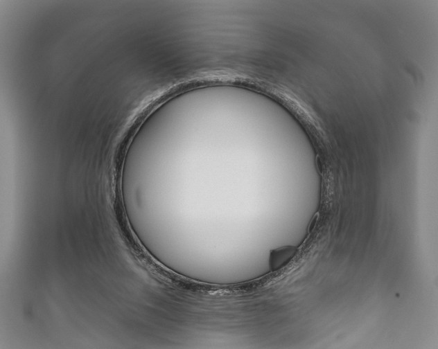 X0000111920064200907271018