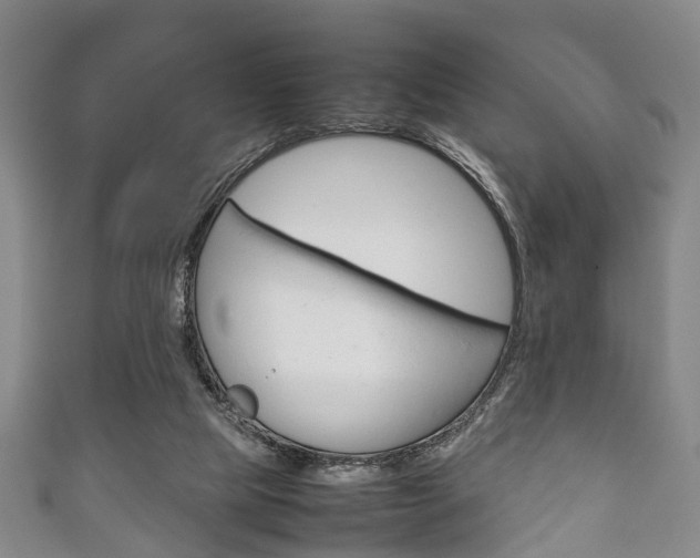 X0000111920065200907271018