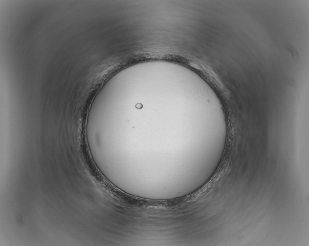 X0000111920066200907271018