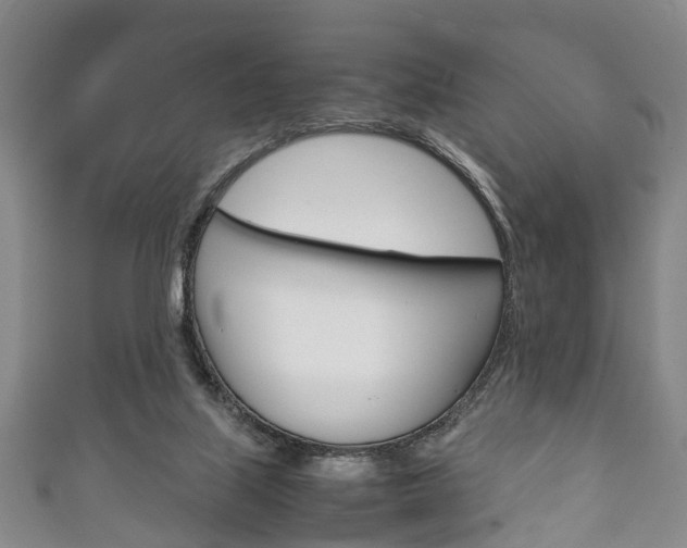 X0000111920067200907271018