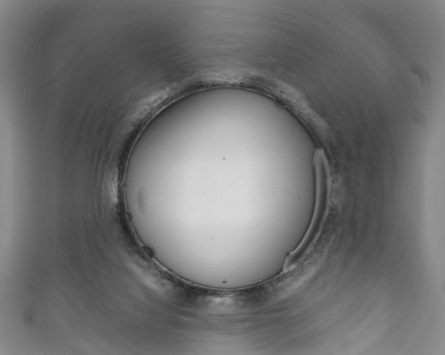 X0000111920068200907271018